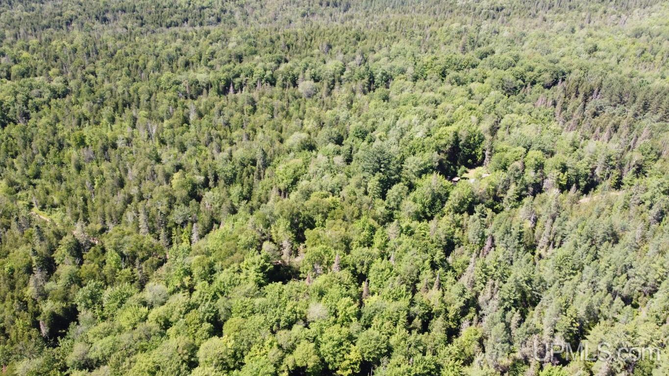 Tbd Tbd Stack Grade Little Lake Rock, MI 49880 - Photo 27 of 45