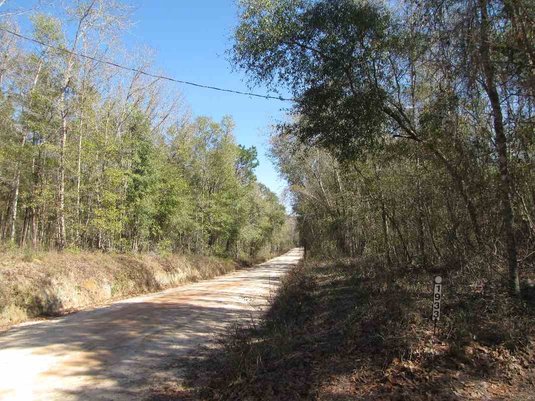 1933 Northwest Ebenezer Church Road Madison, FL 32340 - Photo 19 of 36