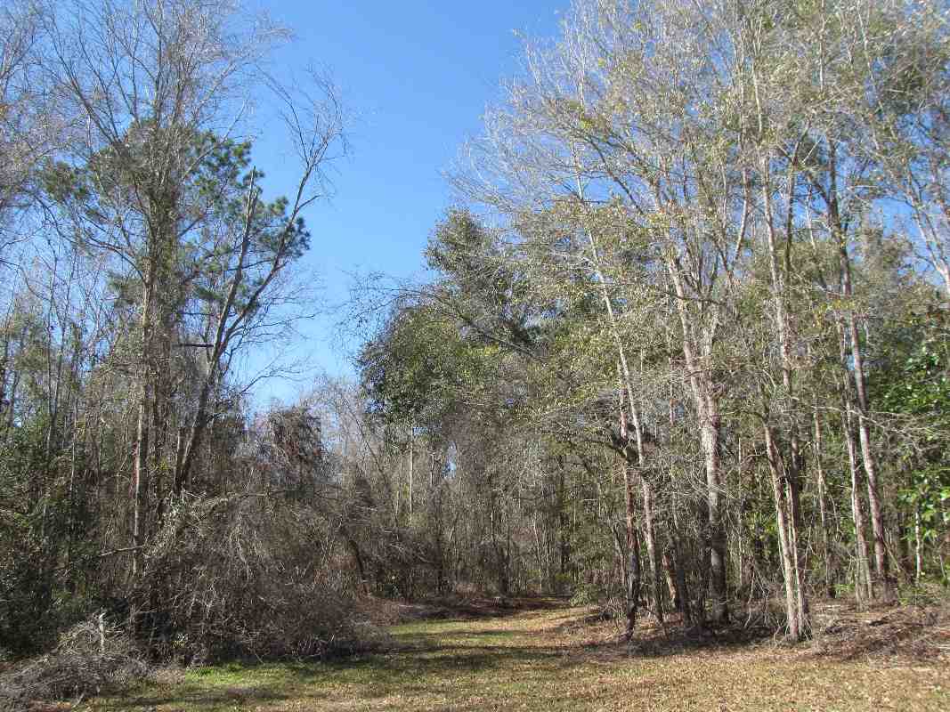 1933 Northwest Ebenezer Church Road Madison, FL 32340 - Photo 22 of 36