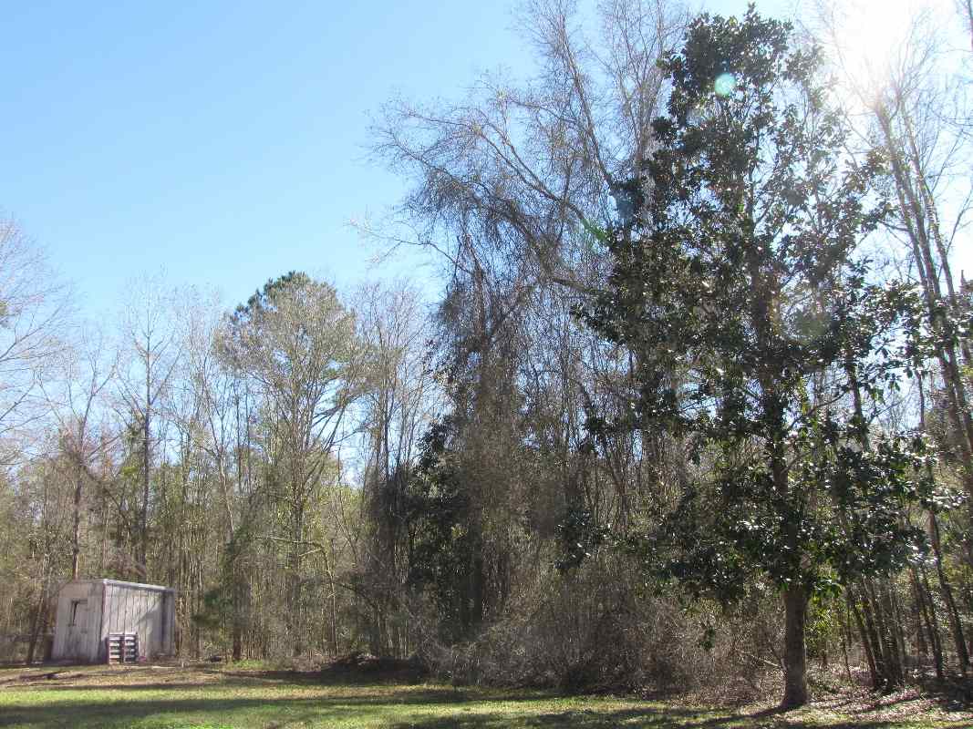 1933 Northwest Ebenezer Church Road Madison, FL 32340 - Photo 23 of 36