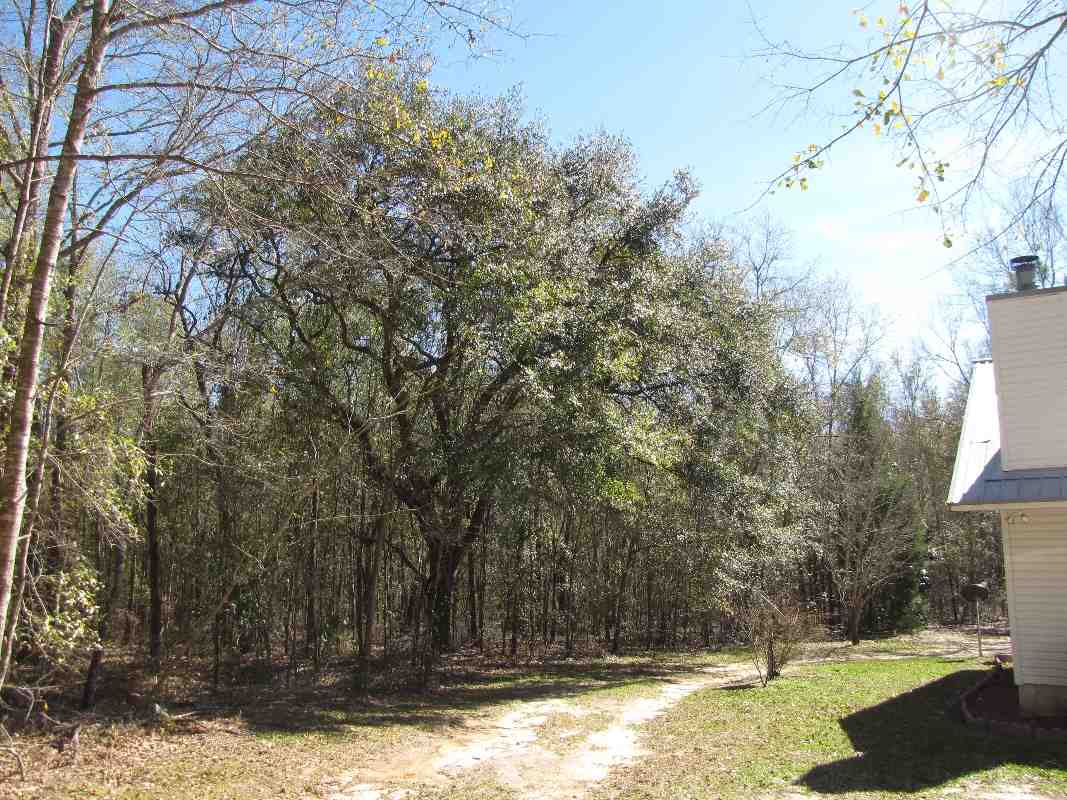 1933 Northwest Ebenezer Church Road Madison, FL 32340 - Photo 31 of 36