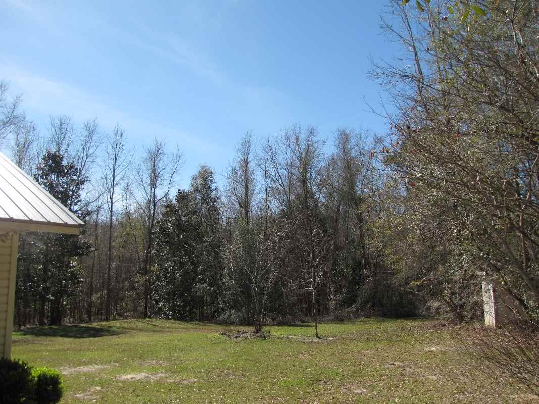 1933 Northwest Ebenezer Church Road Madison, FL 32340 - Photo 32 of 36