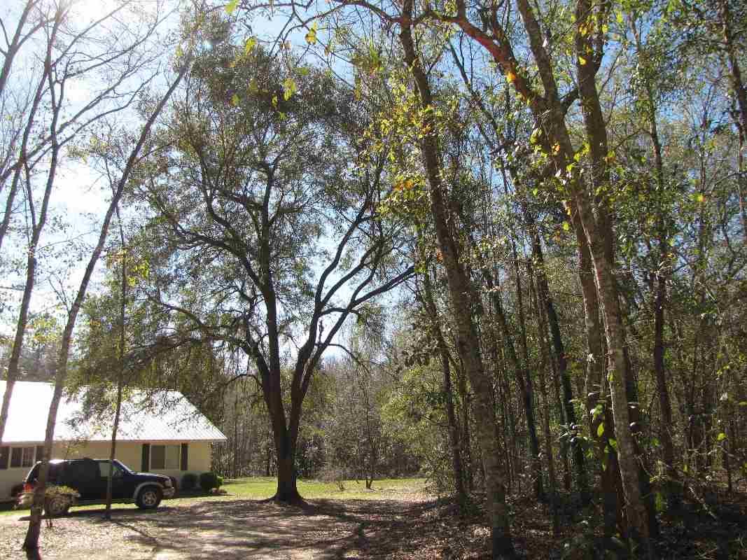 1933 Northwest Ebenezer Church Road Madison, FL 32340 - Photo 35 of 36