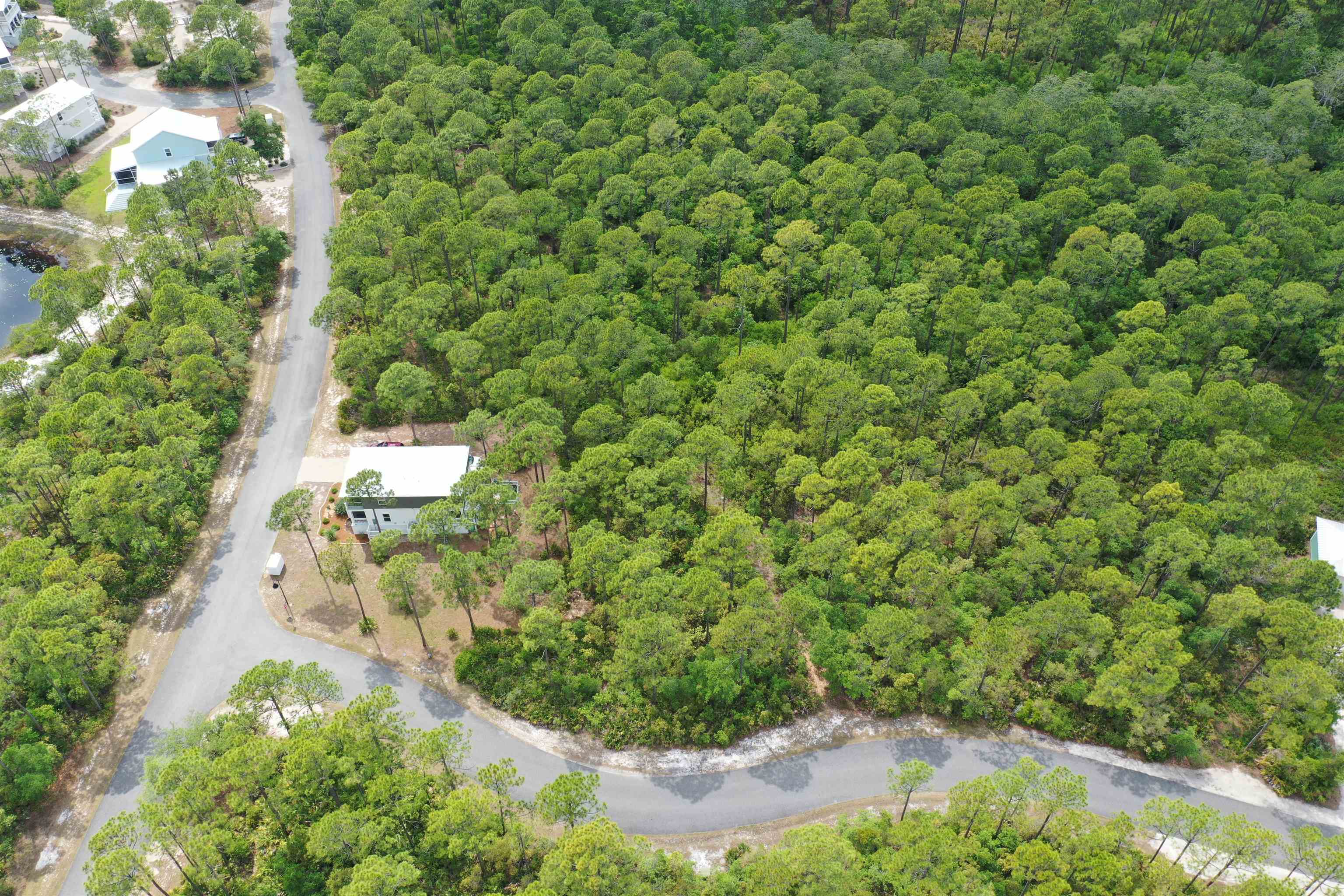 133 Fishhook Way Sopchoppy, FL 32358 - Photo 12 of 28