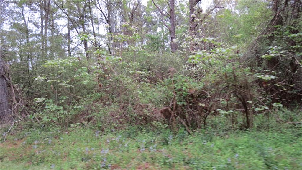 0 Camus Lane Covington, LA 70435 - Photo 4 of 7