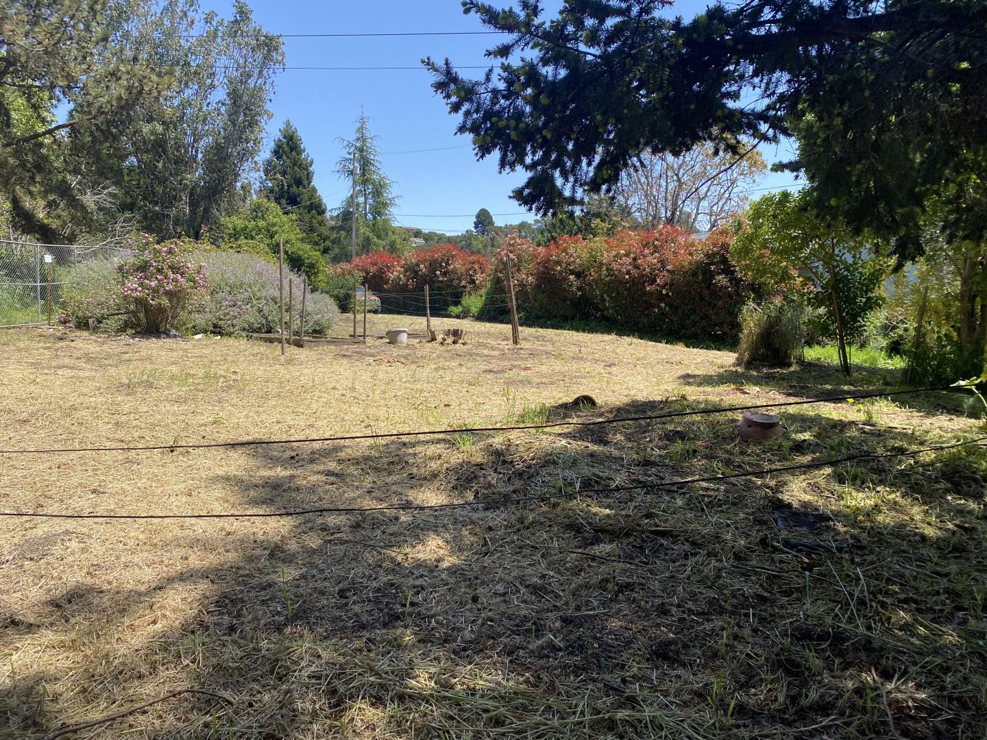 a view of a yard with trees
