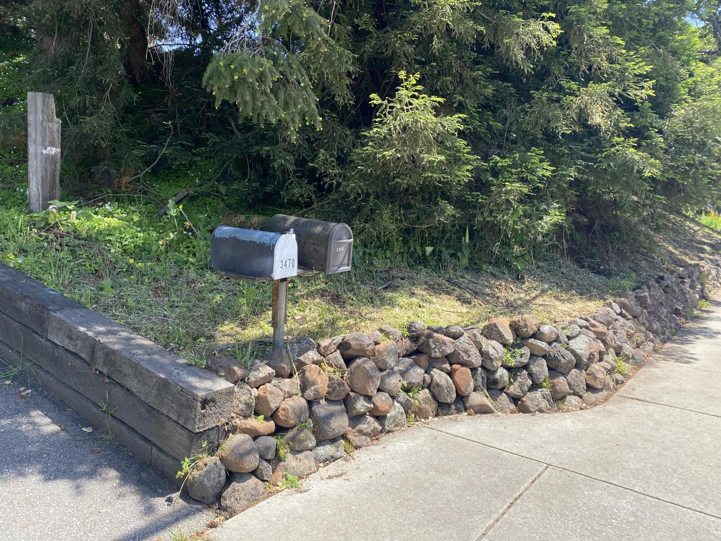 3460 North Main Street Soquel, CA 95073 - Photo 2 of 11 a backyard of a house with lots of green space