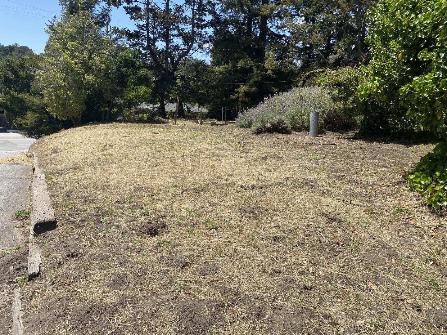 3460 North Main Street Soquel, CA 95073 - Photo 3 of 11 a view of a yard with trees
