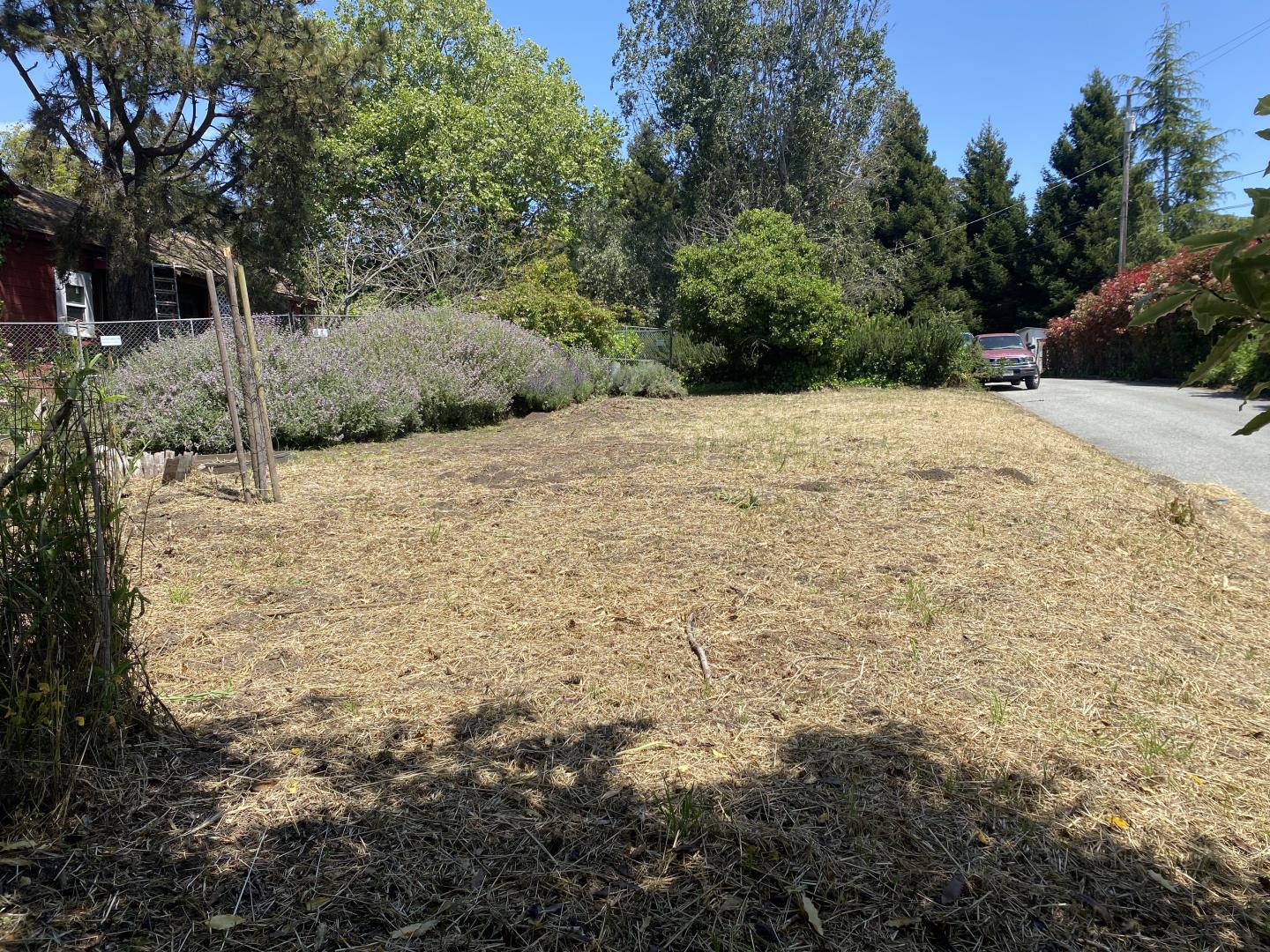 3460 North Main Street Soquel, CA 95073 - Photo 5 of 11 a view of a yard with trees