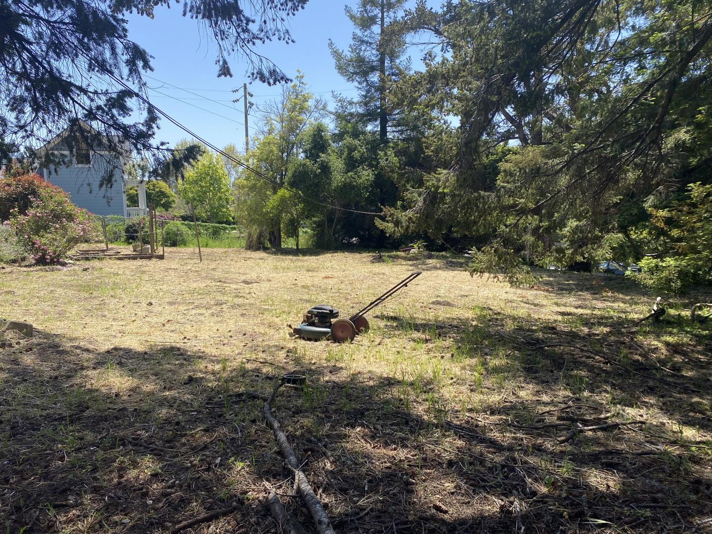 3460 North Main Street Soquel, CA 95073 - Photo 9 of 11 a view of yard with trees