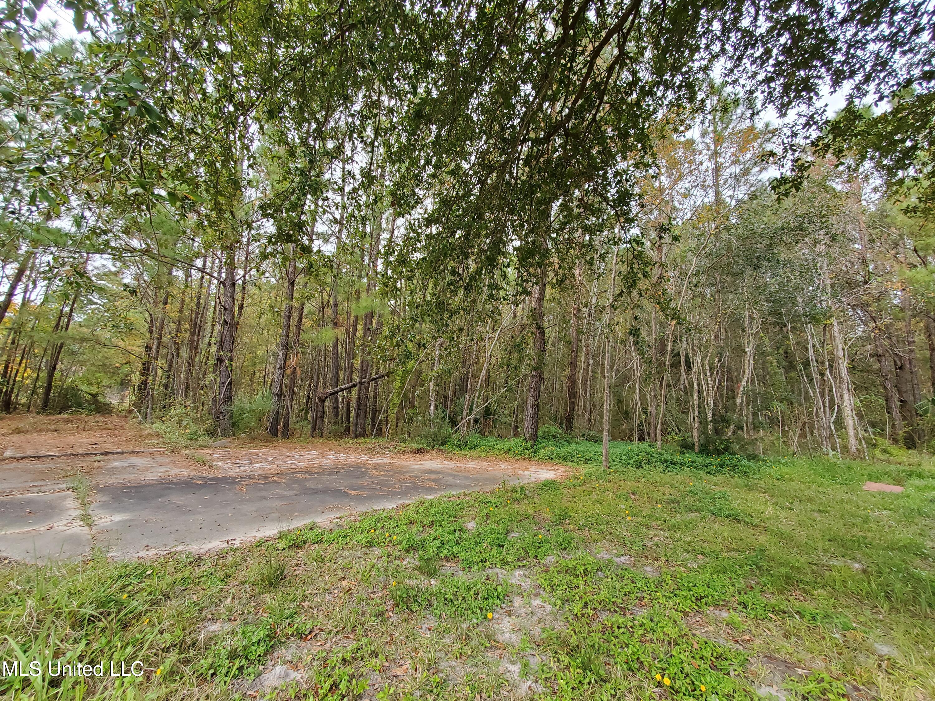 1038 Blue Meadow Road Bay St. Louis, MS 39520 - Photo 4 of 9 11