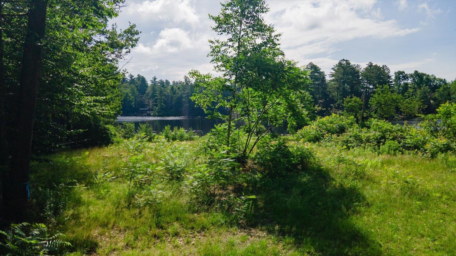 52 Penny Lane Stoddard, NH 03464 - Photo 22 of 50