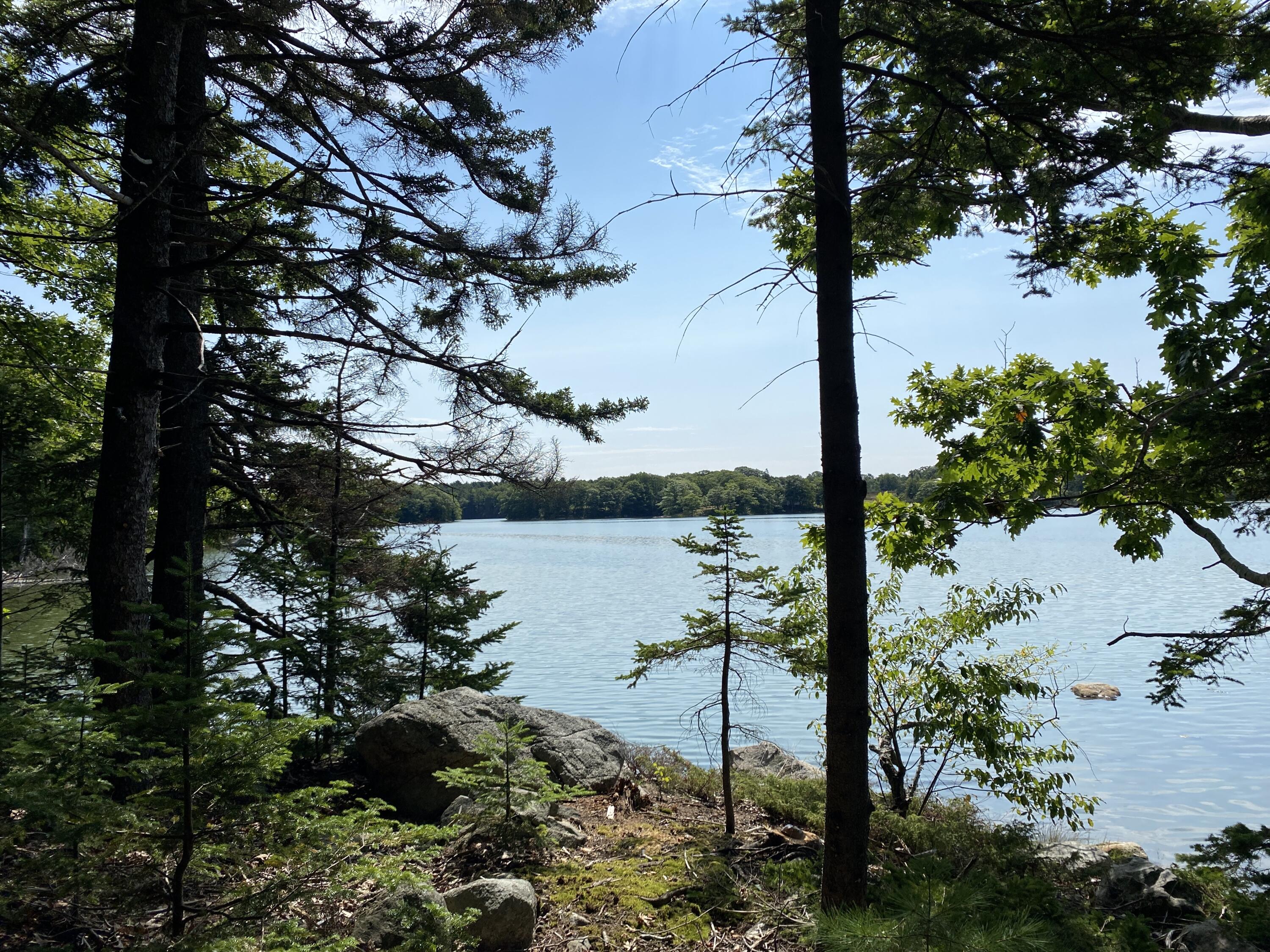 Lot 1 Frank's Flat Road Sedgwick, ME 04676 - Photo 5 of 16 B6D5121D-37BD-42A1-9FF5-45FE49B04922
