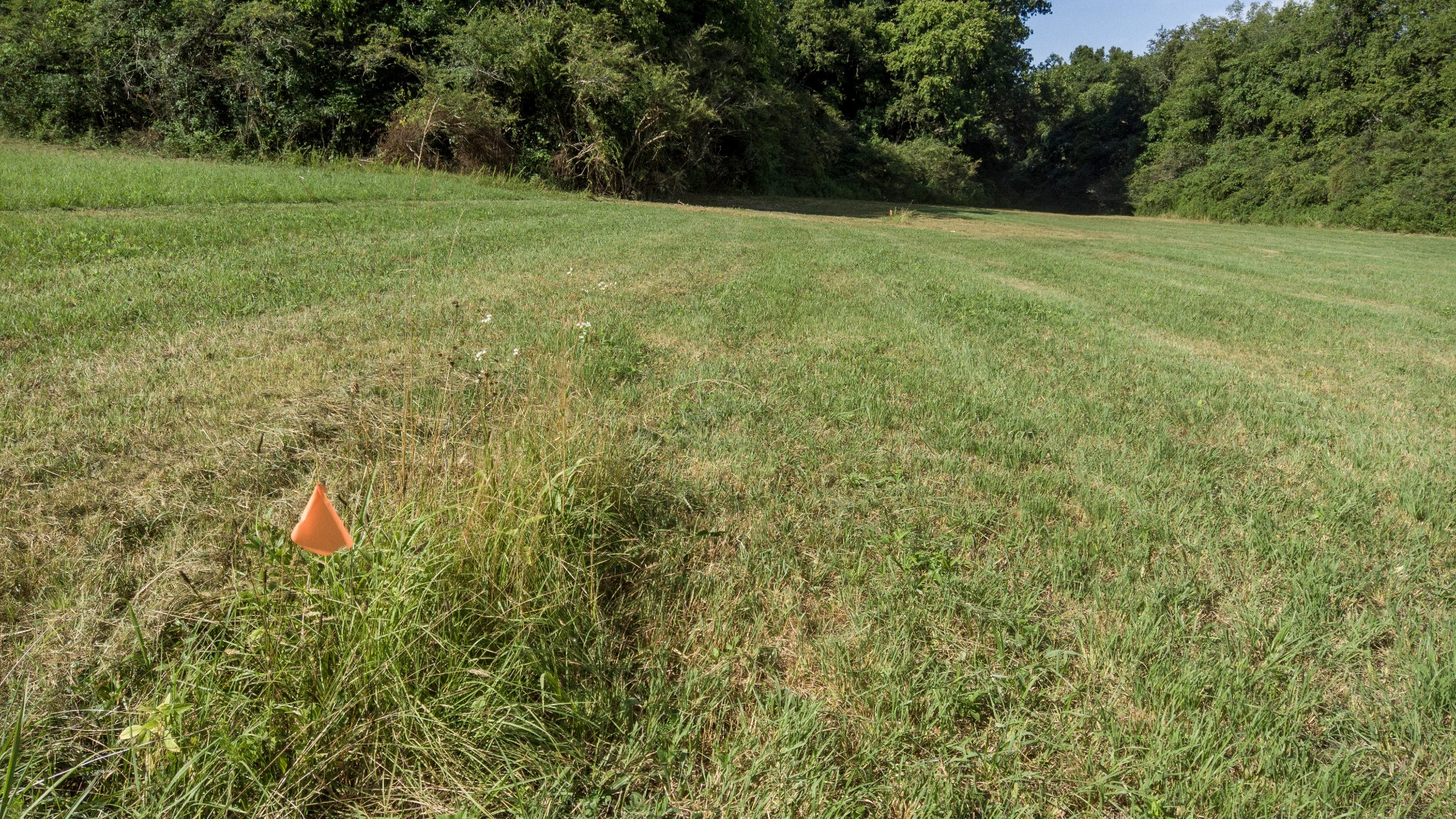 1 Boxley Valley Road Franklin, TN 37064 - Photo 12 of 67