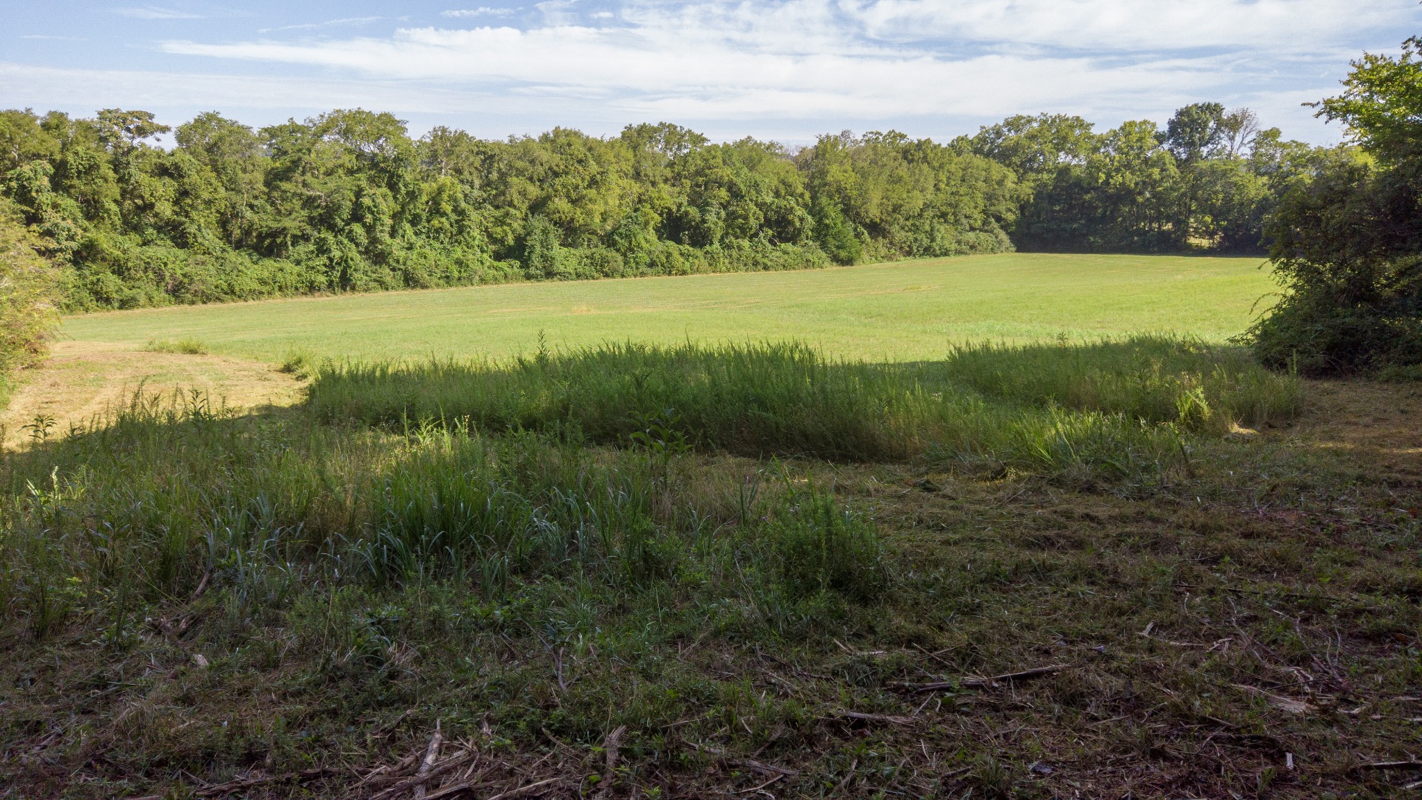1 Boxley Valley Road Franklin, TN 37064 - Photo 14 of 67 a view of a field with an ocean