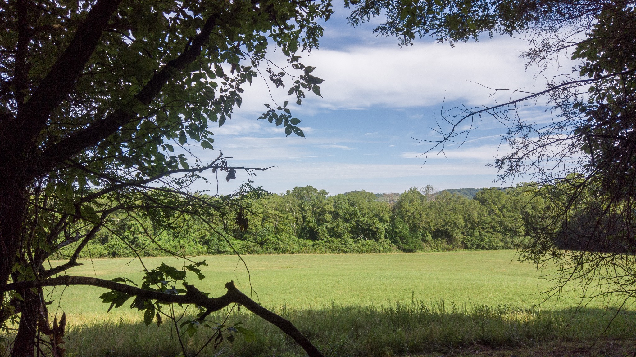 1 Boxley Valley Road Franklin, TN 37064 - Photo 15 of 67