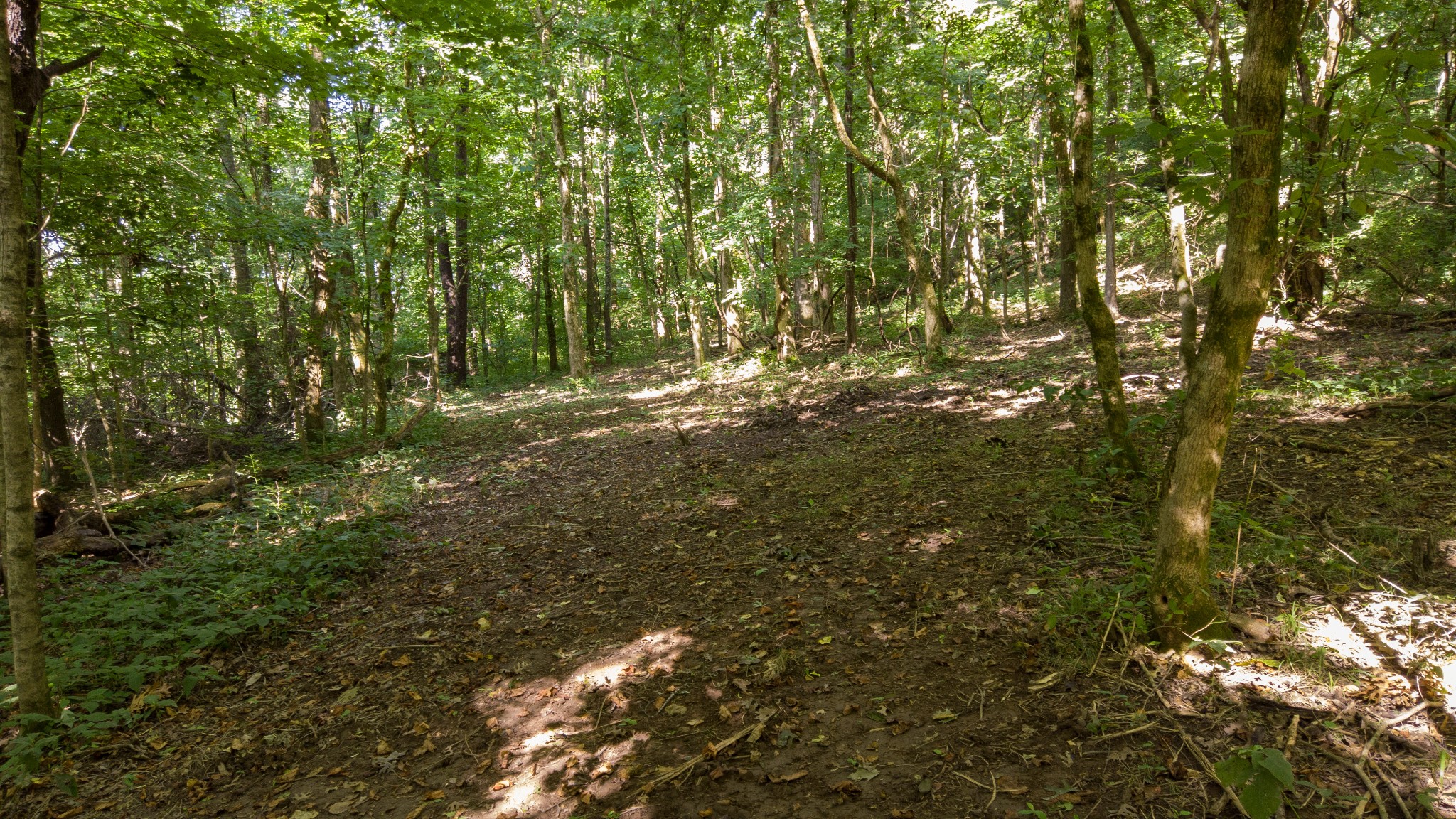 1 Boxley Valley Road Franklin, TN 37064 - Photo 17 of 67