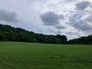 1 Boxley Valley Road Franklin, TN 37064 - Photo 19 of 67