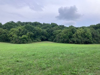 1 Boxley Valley Road Franklin, TN 37064 - Photo 21 of 67