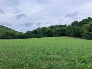1 Boxley Valley Road Franklin, TN 37064 - Photo 22 of 67 a view of a field of grass and trees