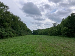 1 Boxley Valley Road Franklin, TN 37064 - Photo 23 of 67 a view of a grassy field