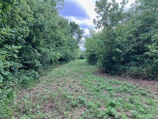1 Boxley Valley Road Franklin, TN 37064 - Photo 24 of 67 a view of a lush green forest