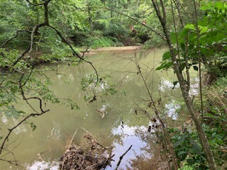 1 Boxley Valley Road Franklin, TN 37064 - Photo 27 of 67 a view of lake from a yard