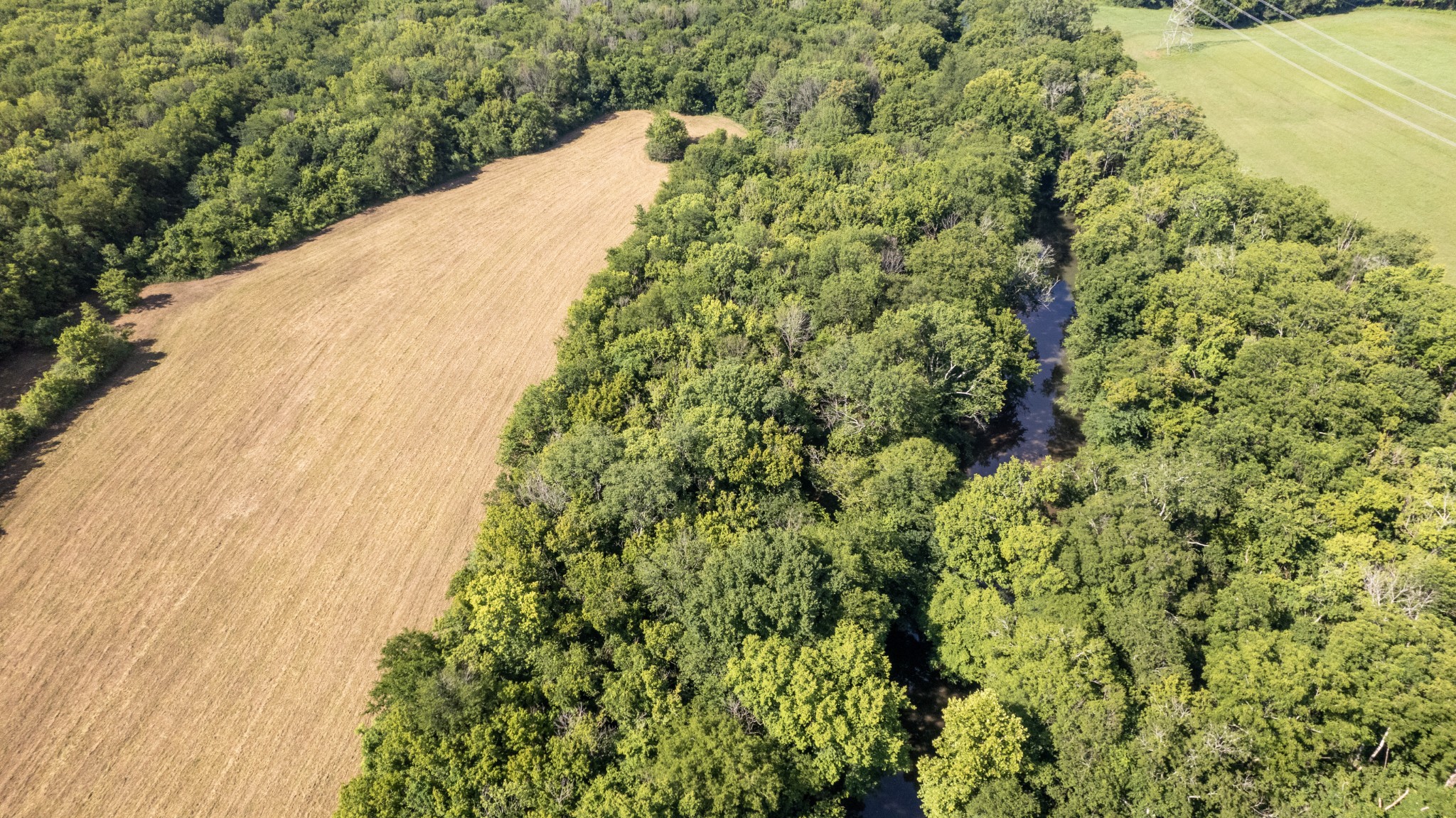 1 Boxley Valley Road Franklin, TN 37064 - Photo 3 of 67 a view of a garden with a tree
