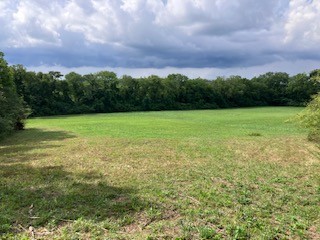 1 Boxley Valley Road Franklin, TN 37064 - Photo 31 of 67 a view of outdoor space and yard