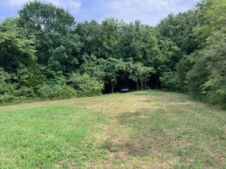 1 Boxley Valley Road Franklin, TN 37064 - Photo 33 of 67 a view of outdoor space and yard