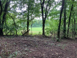 1 Boxley Valley Road Franklin, TN 37064 - Photo 34 of 67 a view of outdoor space and trees