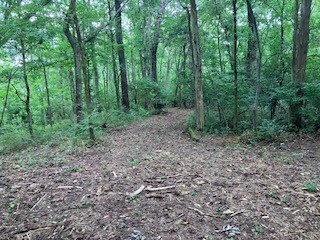 1 Boxley Valley Road Franklin, TN 37064 - Photo 44 of 67 a view of a large yard with lots of green space