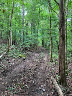 1 Boxley Valley Road Franklin, TN 37064 - Photo 50 of 67