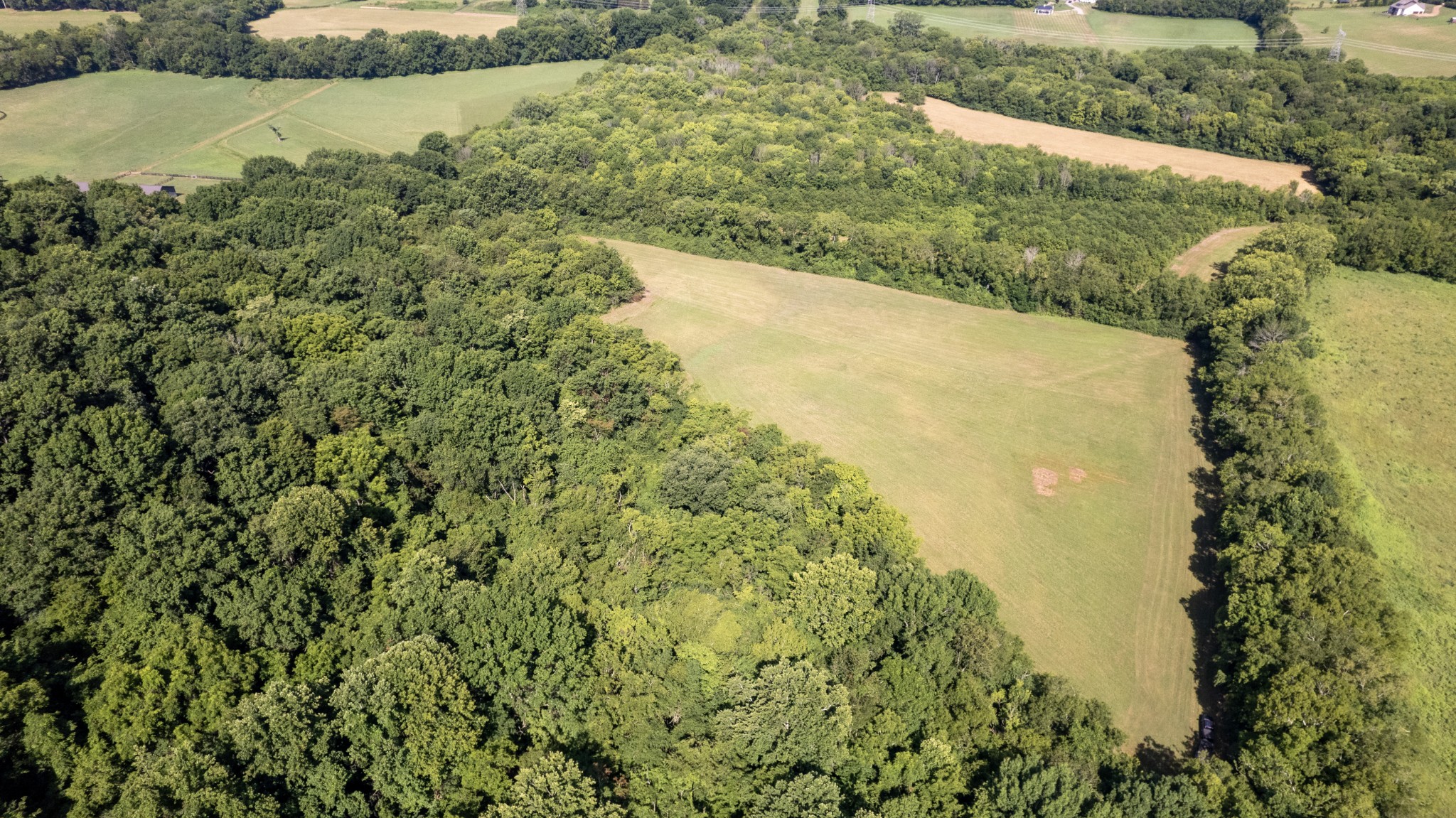 1 Boxley Valley Road Franklin, TN 37064 - Photo 5 of 67 a view of a lake from a yard