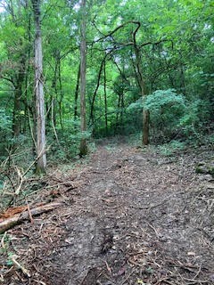 1 Boxley Valley Road Franklin, TN 37064 - Photo 51 of 67