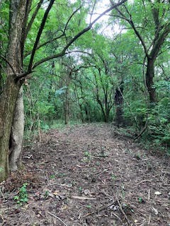 1 Boxley Valley Road Franklin, TN 37064 - Photo 53 of 67 a big yard with lots of green space and deers