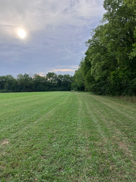 1 Boxley Valley Road Franklin, TN 37064 - Photo 55 of 67 a view of a green field with clear sky