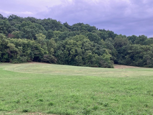 1 Boxley Valley Road Franklin, TN 37064 - Photo 56 of 67 a view of a field with a tree in the background