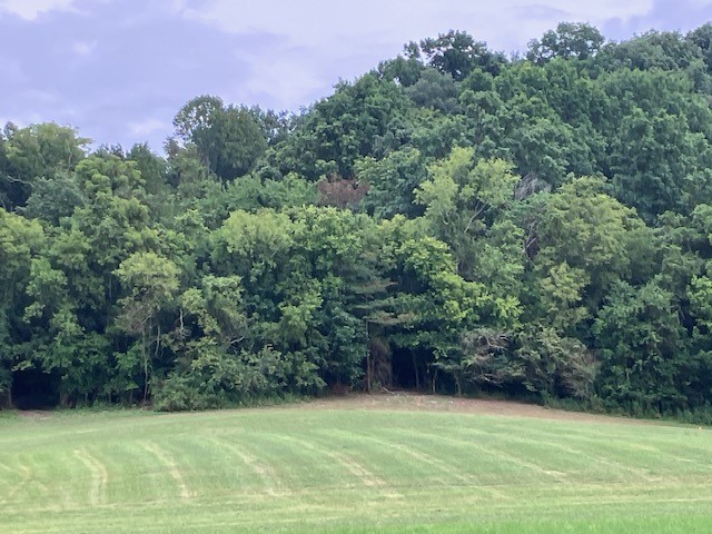 1 Boxley Valley Road Franklin, TN 37064 - Photo 57 of 67 a view of a tennis court