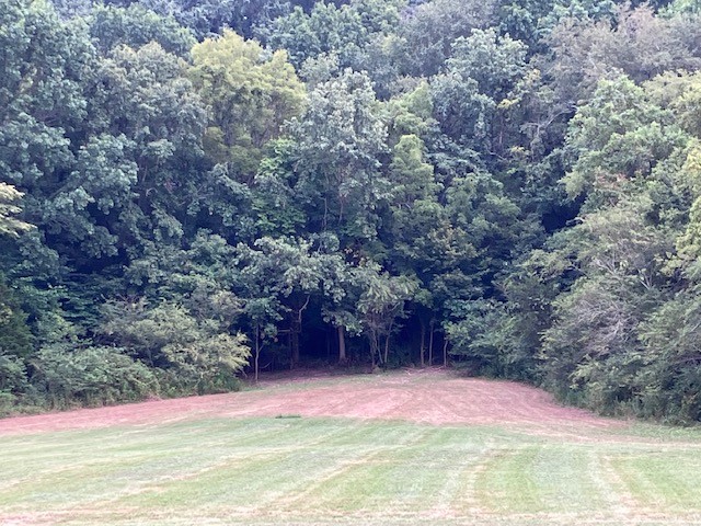 1 Boxley Valley Road Franklin, TN 37064 - Photo 58 of 67 a view of yard with green space