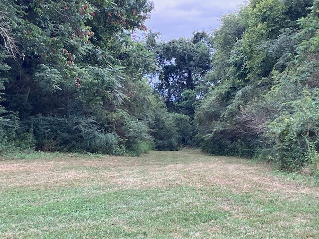 1 Boxley Valley Road Franklin, TN 37064 - Photo 59 of 67