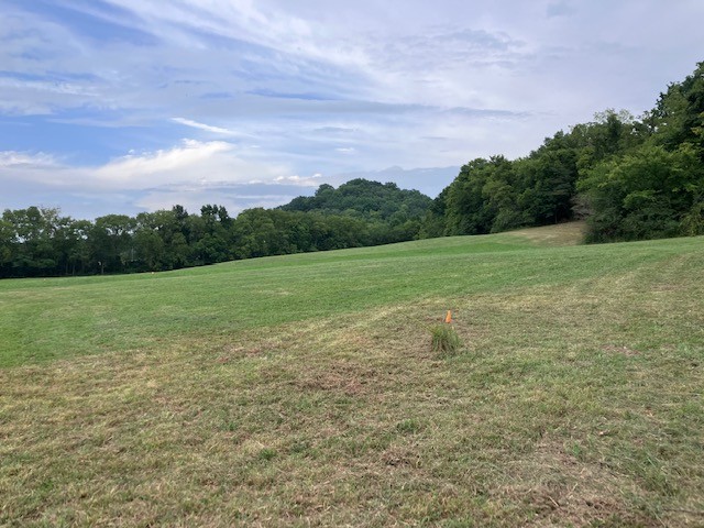 1 Boxley Valley Road Franklin, TN 37064 - Photo 60 of 67 a view of a field with an ocean