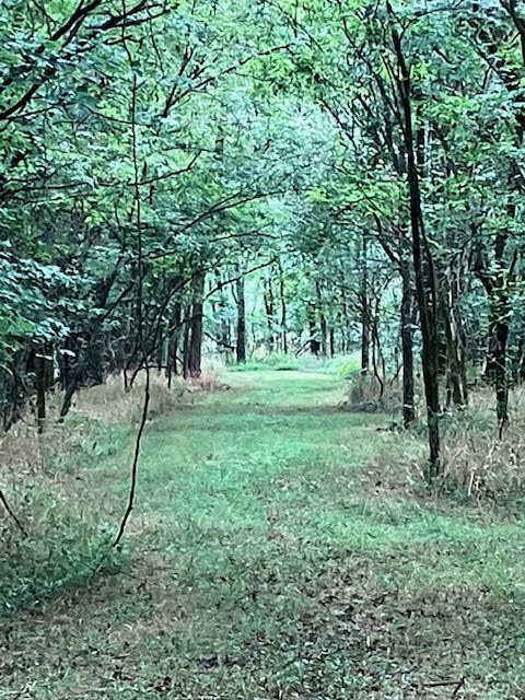 1 Boxley Valley Road Franklin, TN 37064 - Photo 64 of 67