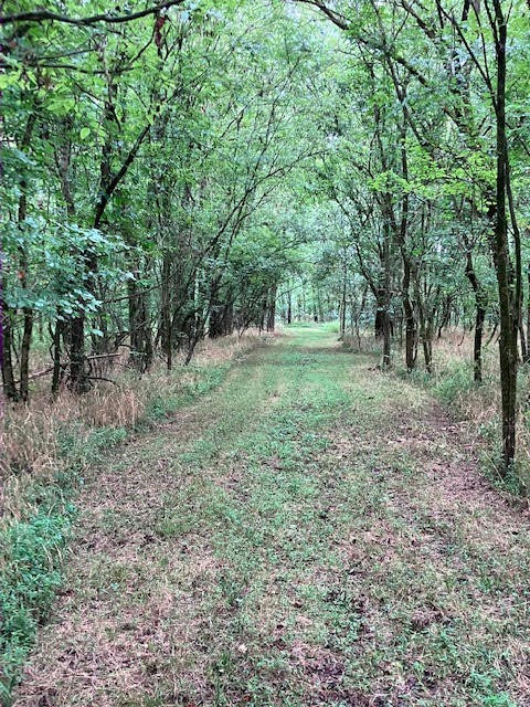 1 Boxley Valley Road Franklin, TN 37064 - Photo 65 of 67 a view of a large yard with lots of green space