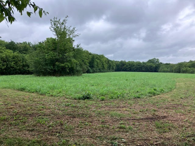 1 Boxley Valley Road Franklin, TN 37064 - Photo 66 of 67 a view of a garden with a building in the background