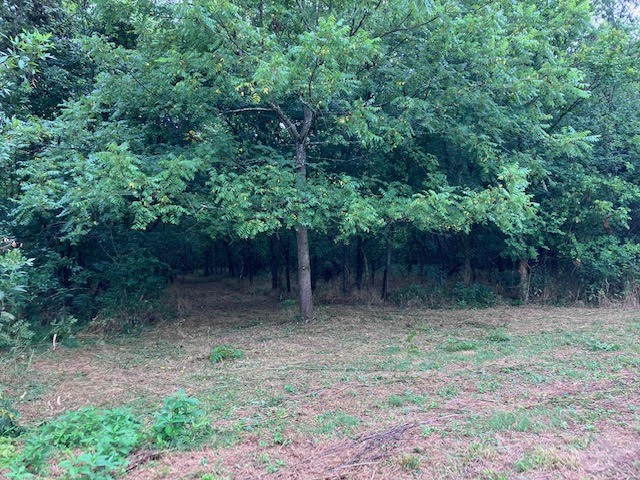 1 Boxley Valley Road Franklin, TN 37064 - Photo 67 of 67 a backyard of a house with lots of green space