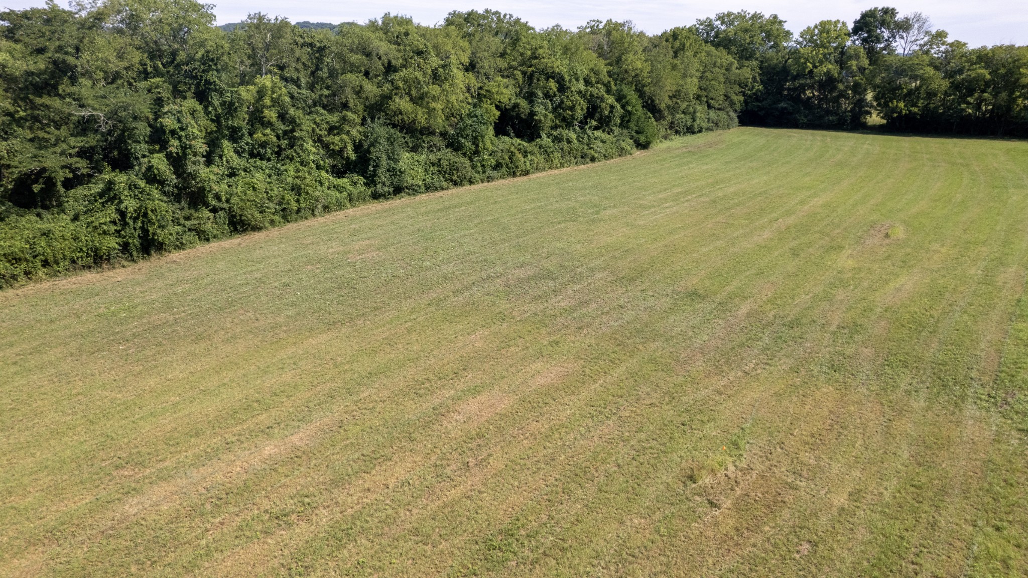 1 Boxley Valley Road Franklin, TN 37064 - Photo 7 of 67 a view of outdoor space and yard
