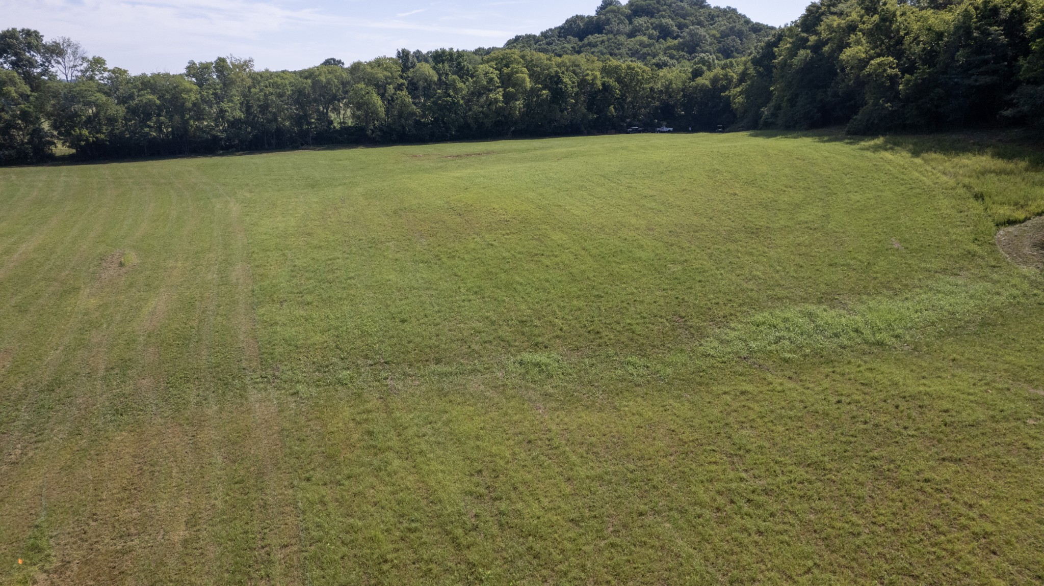1 Boxley Valley Road Franklin, TN 37064 - Photo 8 of 67 a view of a yard with a tree