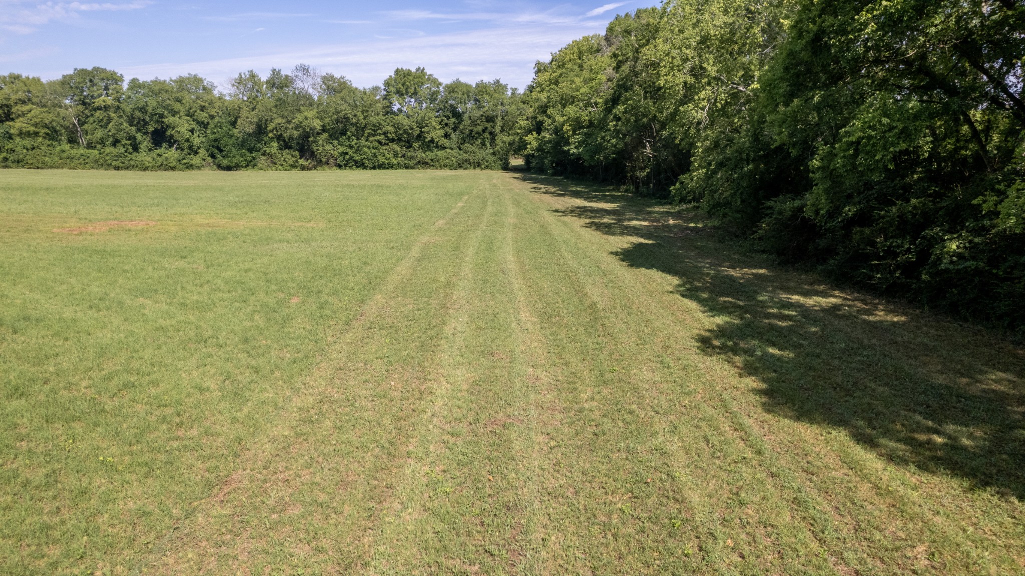 1 Boxley Valley Road Franklin, TN 37064 - Photo 9 of 67 a view of a yard with a large trees