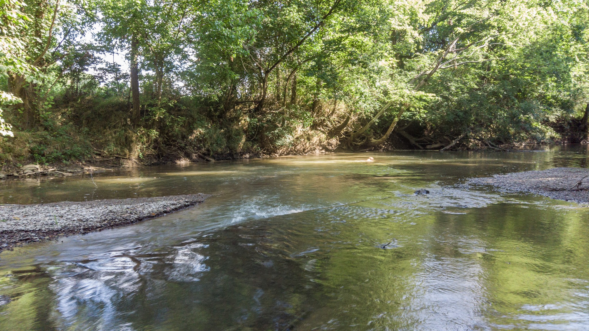 1 Boxley Valley Road Franklin, TN 37064 - Photo 10 of 67 a view of a lake view
